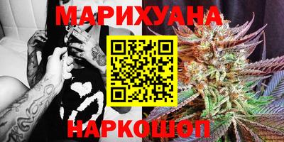 трава Гатчина