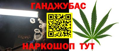 трава Гатчина