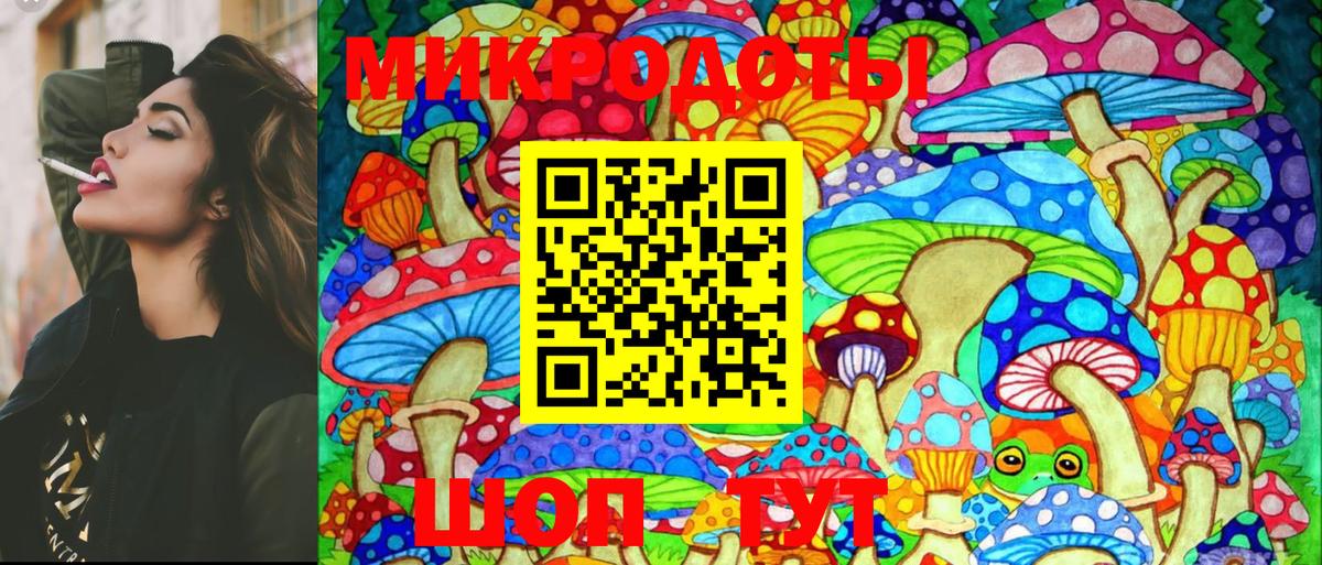 Псилоцибиновые грибы Psilocybine cubensis Киреевск
