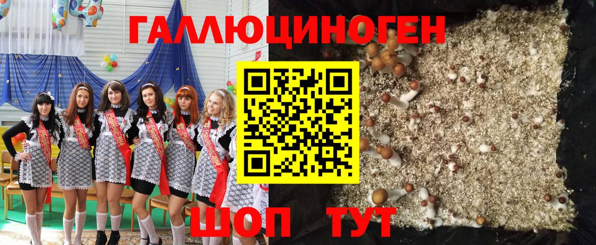 Псилоцибиновые грибы Cubensis  Псилоцибиновые грибы мухоморы  Киреевск  купить наркотик  Вход с VPN 